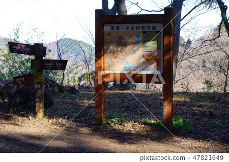 Koton Festival 47821649