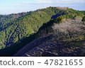 Mount Takao 47821655