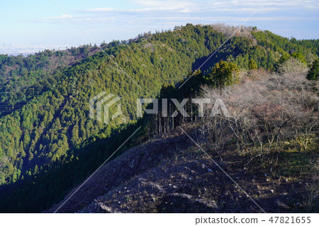 高尾山 高尾山 47821655