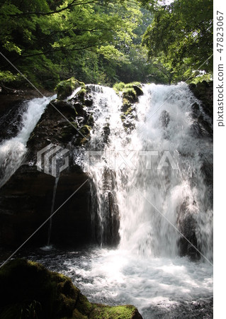 Menkei spring and spring waterfall Menkei spring and spring waterfall 47823067