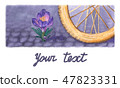 Watercolor crocus and bike's wheel on pavement. 47823331