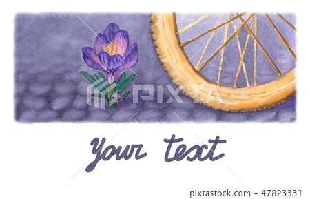 Watercolor crocus and bike's wheel on pavement. 47823331