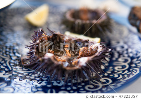 Cut sea urchins laid in the shell on a dish with lemon 47823357