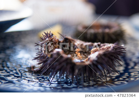 Cut sea urchins laid in the shell on a dish with lemon 47823364