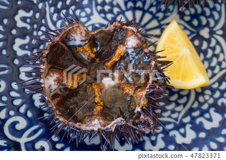 Cut sea urchins laid in the shell on a dish with lemon 47823371