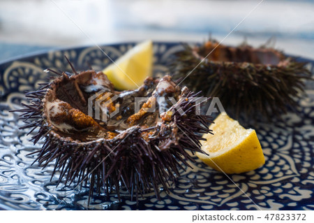 Cut sea urchins laid in the shell on a dish with lemon 47823372