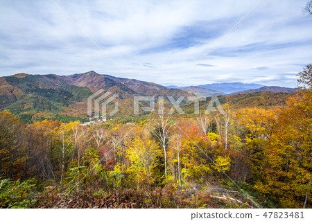 長野縣Kabezaka Kogen的秋葉 47823481