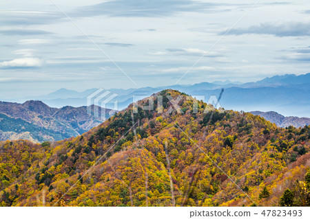 Autumn leaves of Nagano Prefecture Kabezaka Kogen Autumn leaves of Nagano Prefecture Kabezaka Kogen 47823493
