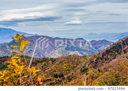 Autumn leaves of Nagano Prefecture Kabezaka Kogen Autumn leaves of Nagano Prefecture Kabezaka Kogen 47823494