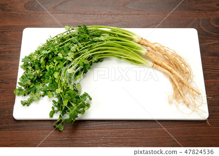 Okayama Pakuchi 47824536