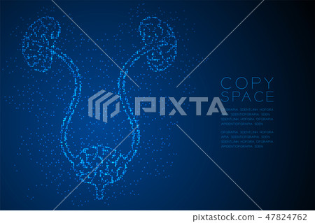 kidney and bladder shape Abstract Geometric Bokeh kidney and bladder shape Abstract Geometric Bokeh 47824762