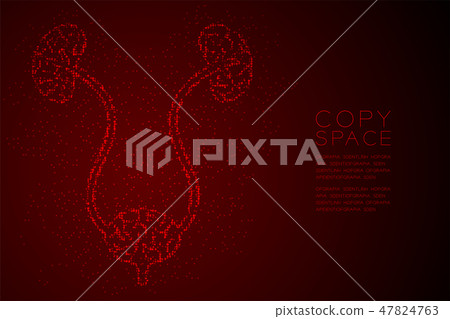 kidney and bladder shape Abstract Geometric Bokeh 47824763