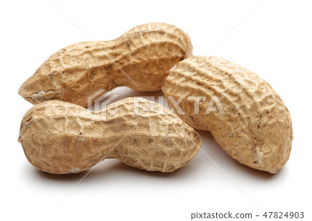 Peanuts isolated on white background Peanuts isolated on white background 47824903