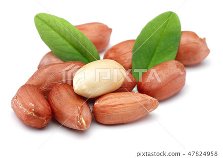 Peanuts and leaves isolated on white 47824958