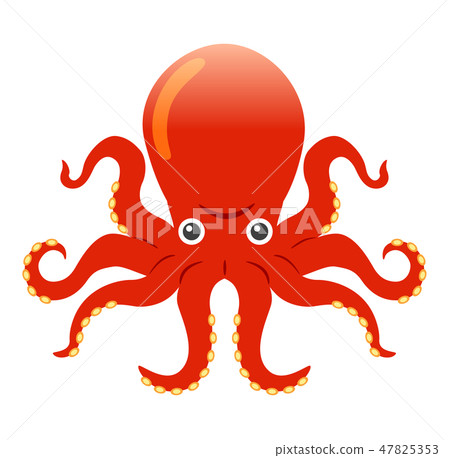 octopus  47825353