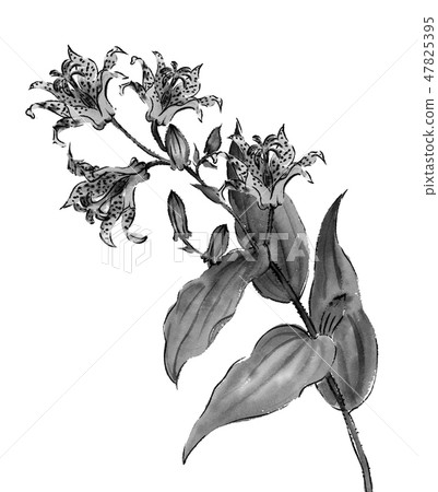 Hototogisu sprinkle ink ink painting monotone Hototogisu sprinkle ink ink painting monotone 47825395