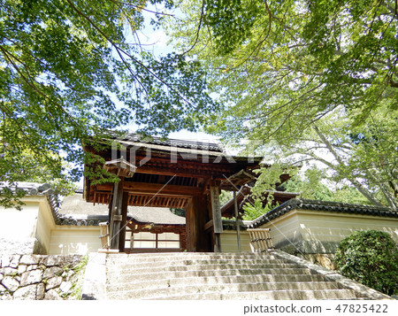 Mitsuji Temple Zenjiji temple green Blue maple 47825422