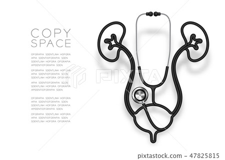 Kidney and bladder shape made from Stethoscope 47825815