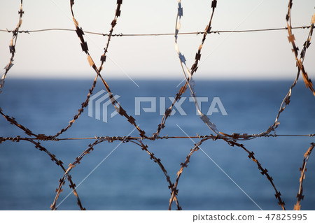 Old rusted barbed wire and sea at background Old rusted barbed wire and sea at background 47825995