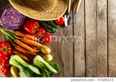 Food Vegetable Colorful Background.  47826223
