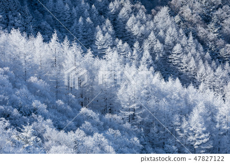 Nagano _ Terrible winter Mikigahara _ Clay ice 47827122
