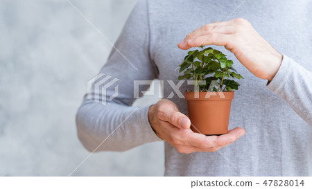 save world protect nature plant mans hands save world protect nature plant mans hands 47828014