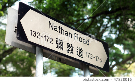 Hong Kong Nathan Road sign green tree background Hong Kong Nathan Road sign green tree background 47828016