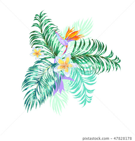 Floral arrangement with tropic palm leaves , monstera bird of paradise vector illustration 47828178