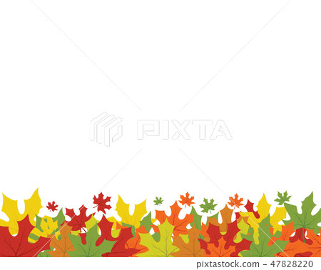 Maple leaf vector illustration Maple leaf vector illustration 47828220