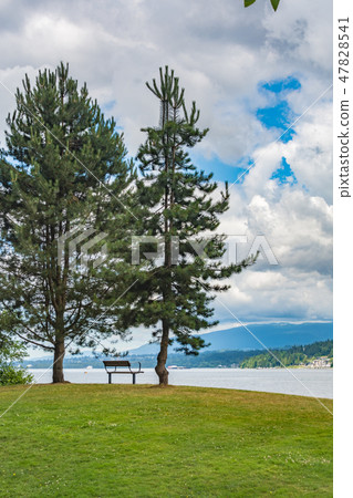 Rest place with a bench on a shore of Pacific ocean bay 47828541