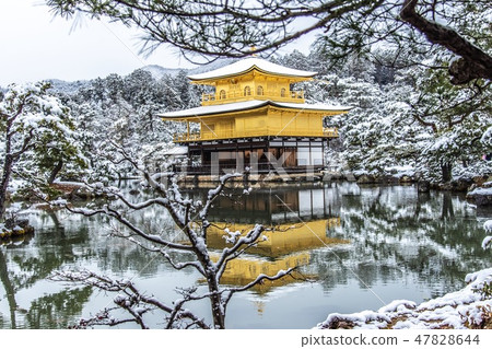 Kyoto Winter Kinkakuji Temple Stock Photo