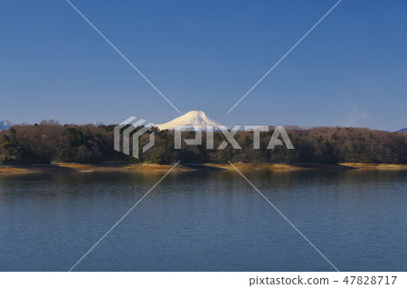 多摩湖和富士山在冬天 47828717