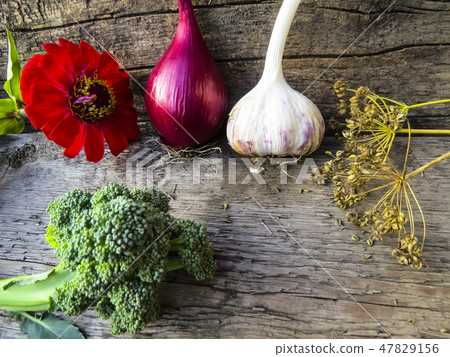 Vegetables  on a wooden background. 47829156