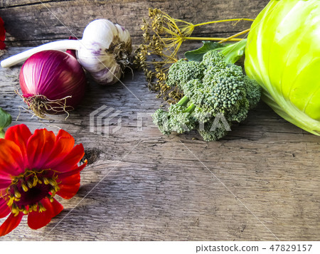 Vegetables  on a wooden background. 47829157