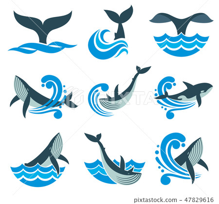 Wild whale in sea waves and water splashes vector icons Wild whale in sea waves and water splashes vector icons 47829616
