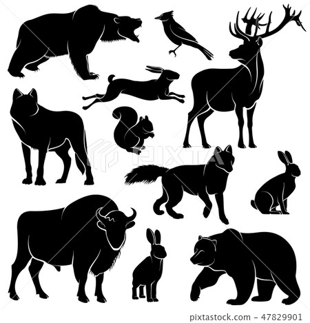 Vector forest animals for wood design. Zoology collection Vector forest animals for wood design. Zoology collection 47829901