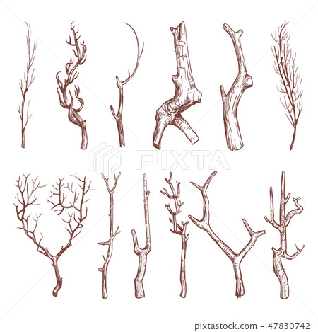 Sketch wood twigs, broken tree branches vector set Sketch wood twigs, broken tree branches vector set 47830742