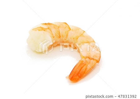 Prawn shrimp (depth synthesis) 47831392