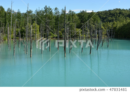 Blue pond Blue pond 47831481
