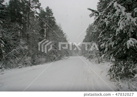 Beautiful winter landscape with snowy road 47832027
