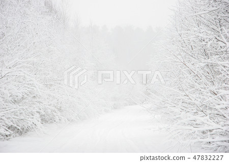 inter landscape with snowy road in winter forest. 47832227