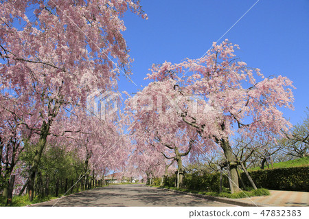 Higashiyama Fruit Park Higashiyama Fruit Park 47832383