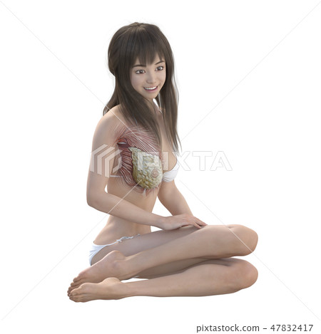 女性解剖肌肉3DCG例證材料 女性解剖肌肉3DCG例證材料 47832417