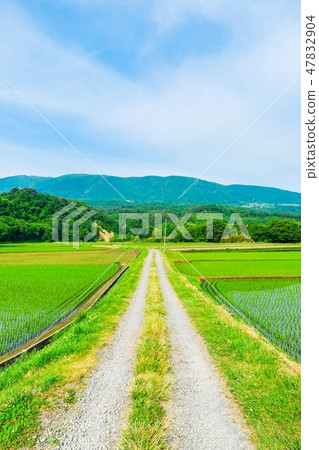 初夏的鄉村景觀 初夏的鄉村景觀 47832904