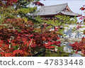 Nara 47833448
