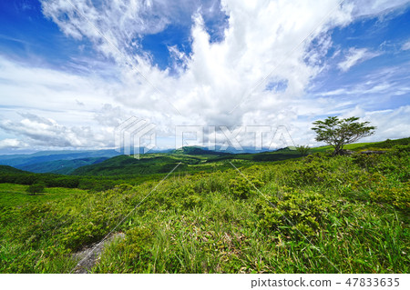 Kirigamine, View from the vicinity of the 5th parking area towards Hachiagahara Marshland 47833635