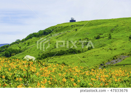 Nikko Kishge at the Kuruma Kogen Nikko Kishge at the Kuruma Kogen 47833676