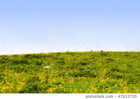 Kuruma Kogen的Nikko Kishge Kuruma Kogen的Nikko Kishge 47833720