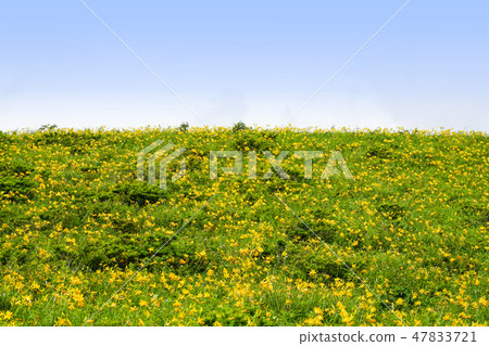 Kuruma Kogen的Nikko Kishge Kuruma Kogen的Nikko Kishge 47833721