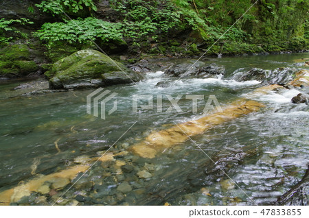 Shinshu Tatsuno Town Yagakawa Valley的Serpent Stone侵入性侵入乾坑國家指定的自然紀念碑 Shinshu Tatsuno Town Yagakawa Valley的Serpent Stone侵入性侵入乾坑國家指定的自然紀念碑 47833855